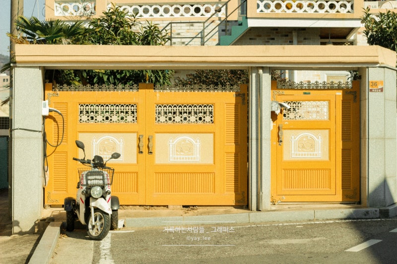 [DSLR 카메라 입문용 추천] 난 아직도 캐논 EOS 100D를 들고 여행한다