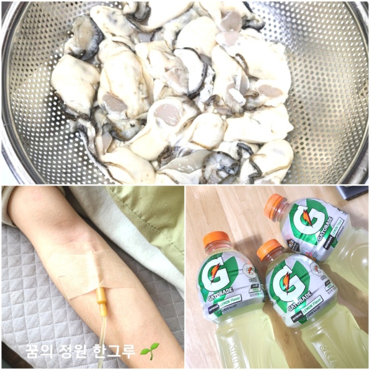  구토 설사 복통 굴 노로바이러스 증상 치료 약 전염 온라인으로 주문한 굴 피해보상 방법 서류