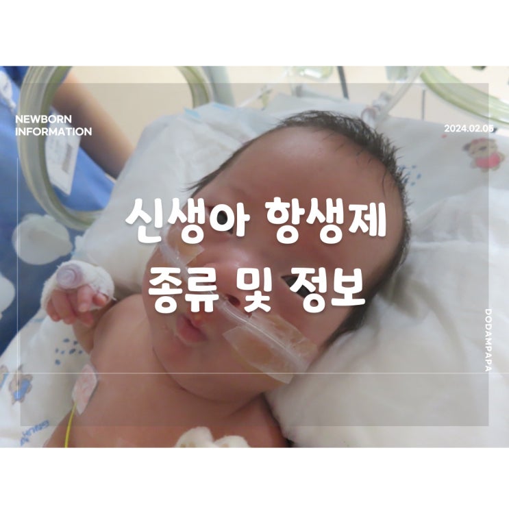 신생아 정보 신생아 항생제 종류 및 정보 신생아 정보 신생아 항생제 종류 및 정보