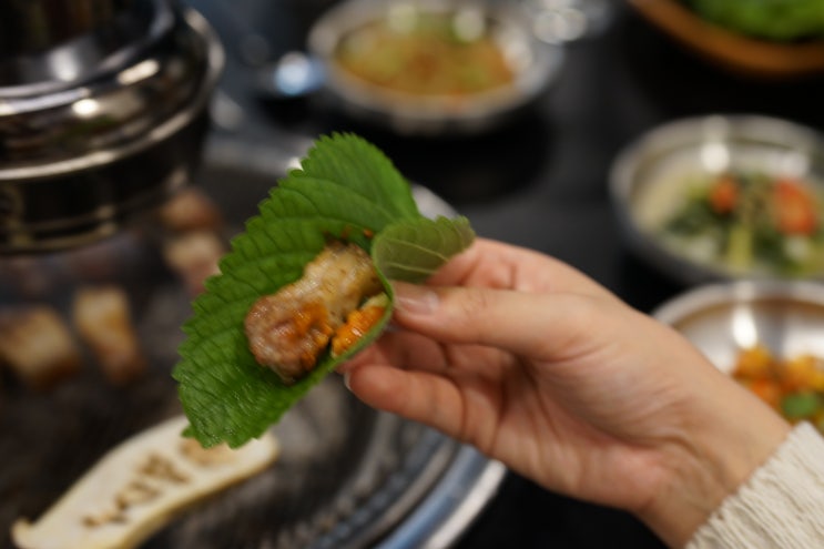  제주노형맛집 부드러운 육즙 가득한 육고기 신제주점