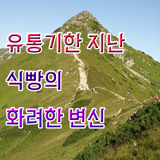  유통기한 넘긴 식빵 사용법 , 알아보기 ?