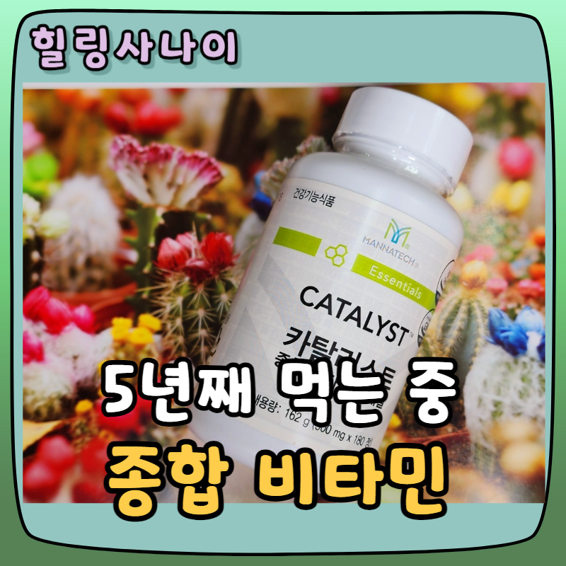 천연 종합 비타민 추천, 매나테크 카탈리스트 간 수치 먹는 시간