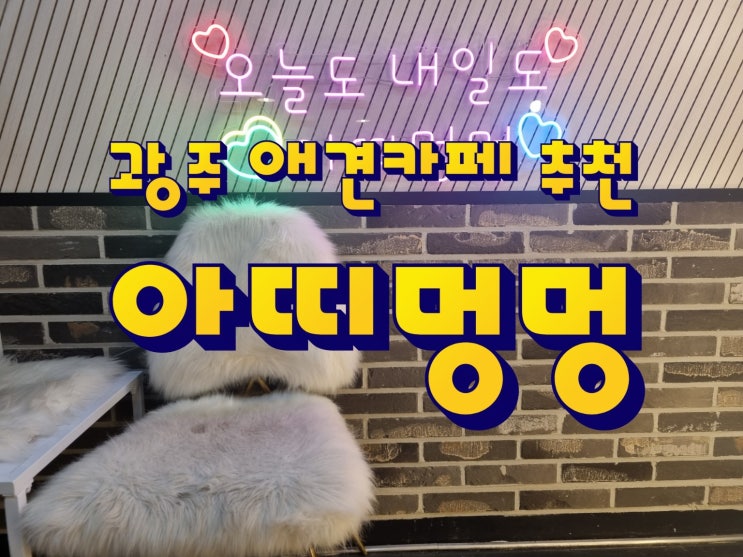  광주 애견카페 추천 ｜강아지유치원, 호텔도 운영해요