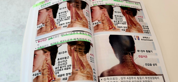  창원 체형교정 에스테틱 소통테라피 목 어깨 통증관리