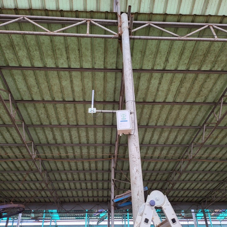  파주_원해목장_발정탐지기_설치사례