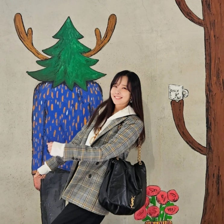 소유진 입생로랑 가방 빅백 생로랑가방 제이미백 사이즈 가격 정보 소유진 입생로랑 가방 빅백 생로랑가방 제이미백 사이즈 가격 정보