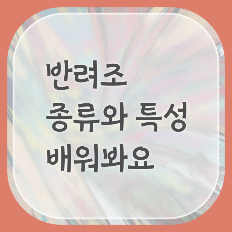  반려조관리사 자격증 취업 여기부터 보고가세요 !!! 한국자격검정원