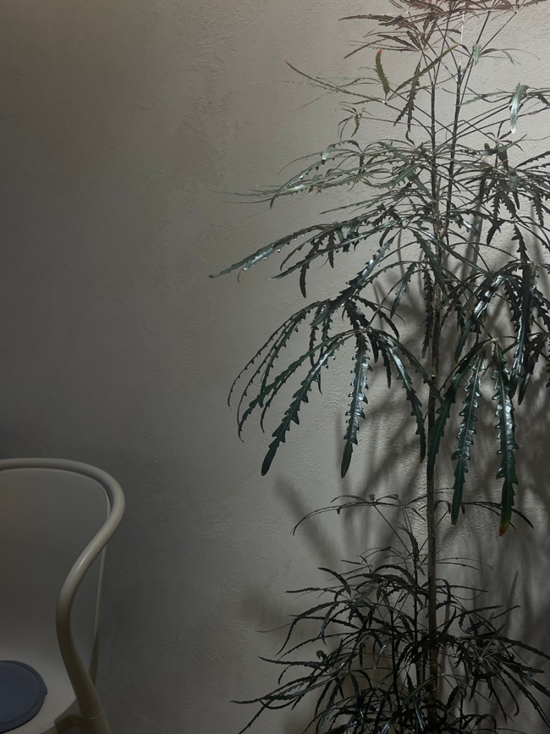 엥겔지수가 약 80%에 육박할 것 같은데 이거 어쩌죠? : 네이버 블로그