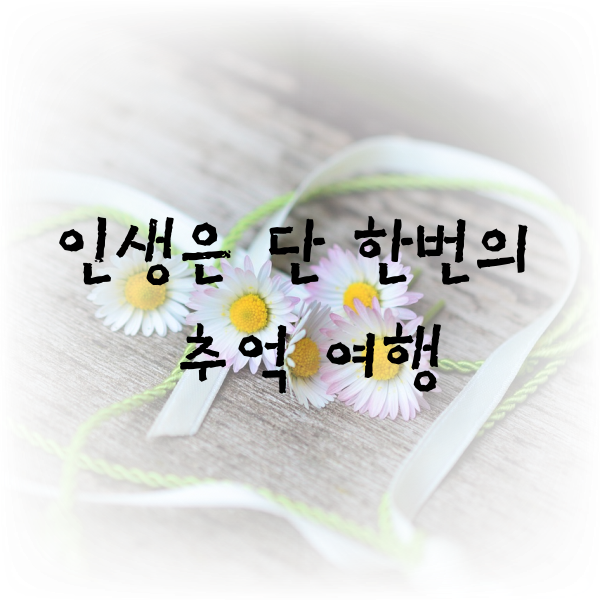  인생은 단 한번의  추억  여행