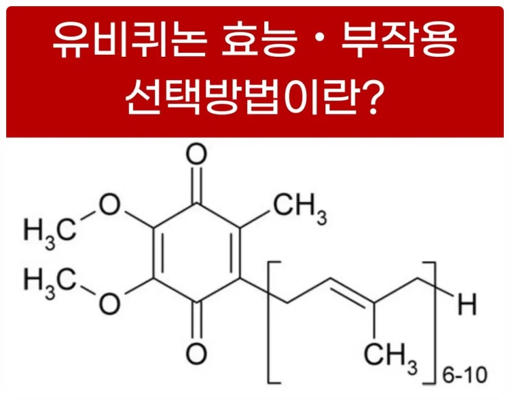 유비퀴논 효능 부작용 및 선택 방법이란?