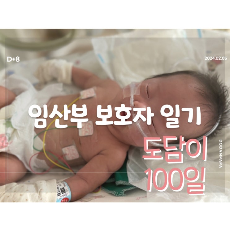 2024.02.05 임산부 보호자 일기 D+8일 2024.02.05 임산부 보호자 일기 D+8일