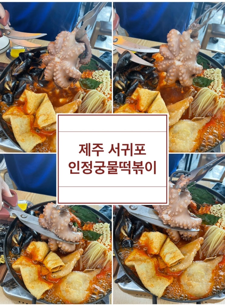  [제주 서귀포 인정궁물떡볶이] 문어 한마리가 통째로 들어가 있는 즉석떡볶이