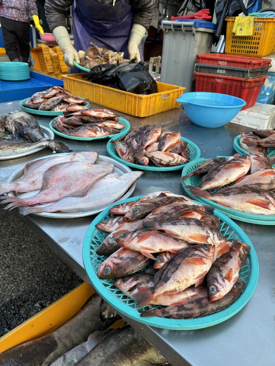 진미집 사진 5
