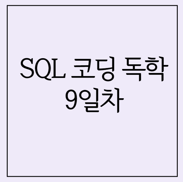 SQL 독학 9일차 - 여러 결합(JOIN) 합치기