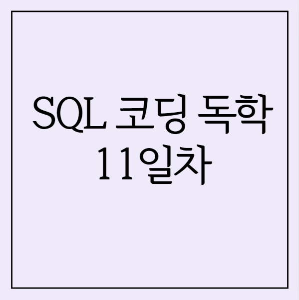 SQL 독학 11일차 - ALTER ADD, DROP