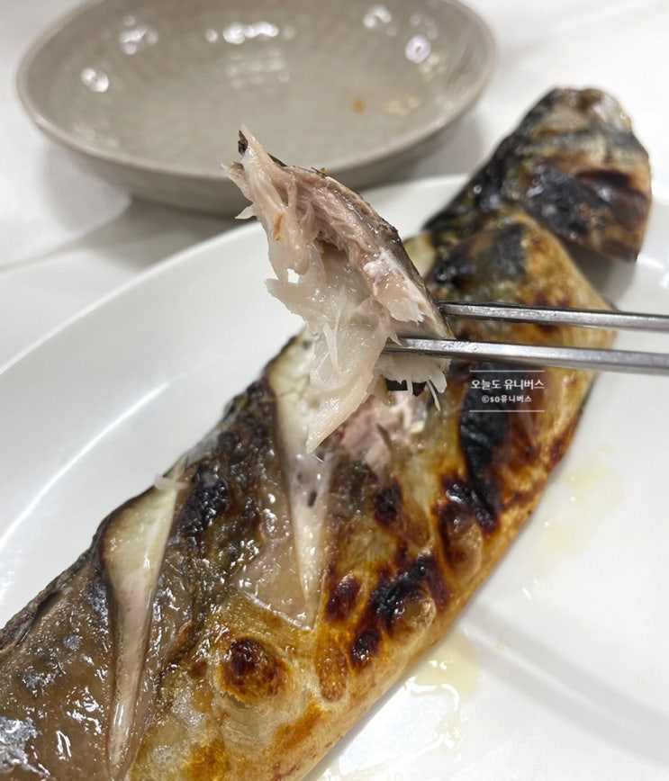 [강릉 맛집] 중앙시장 부근 생선구이 맛집 복조리식당