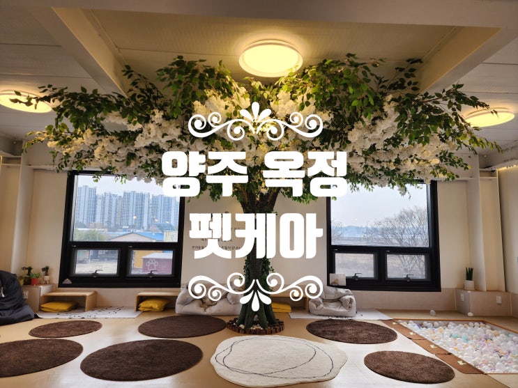  양주 분위기 따뜻한 애견카페 펫케아