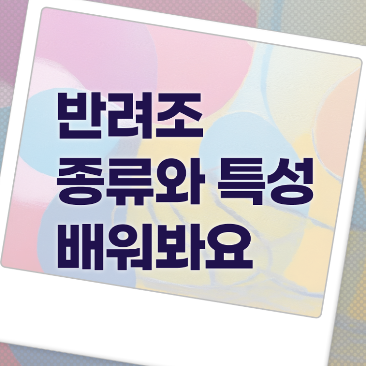  반려조관리사 1급 자격증 취득 후기 정리해봤어요 . 한국자격검정원