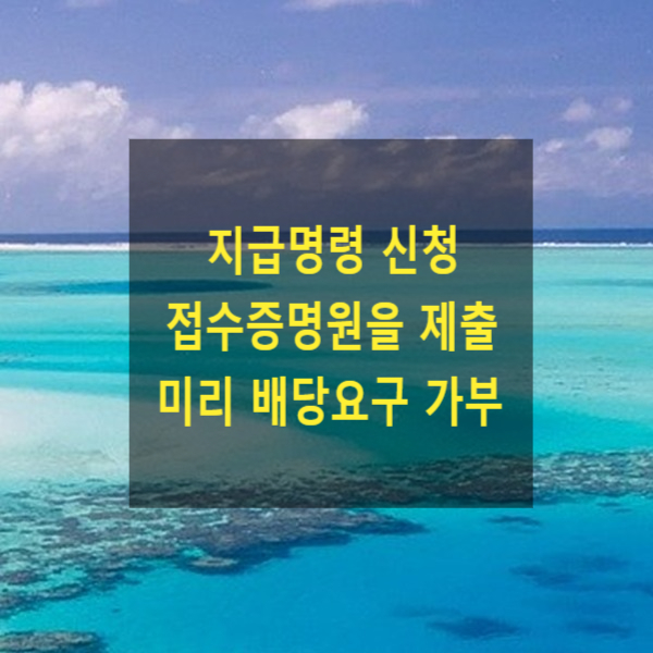  지급명령 정본을 배당요구 종기가 지나 제출한 경우(지급명령 신청 접수증명원만을 제출하여 미리 배당요구 가부)