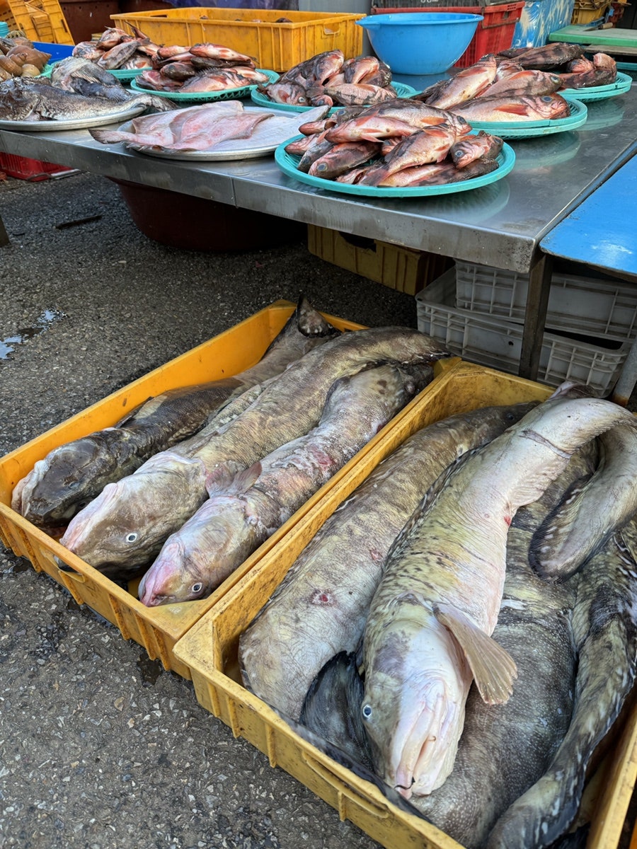 진미집 사진 4