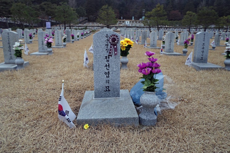 (대한민국 육군) <b>병장</b> <b>정선엽</b> -1212사태-