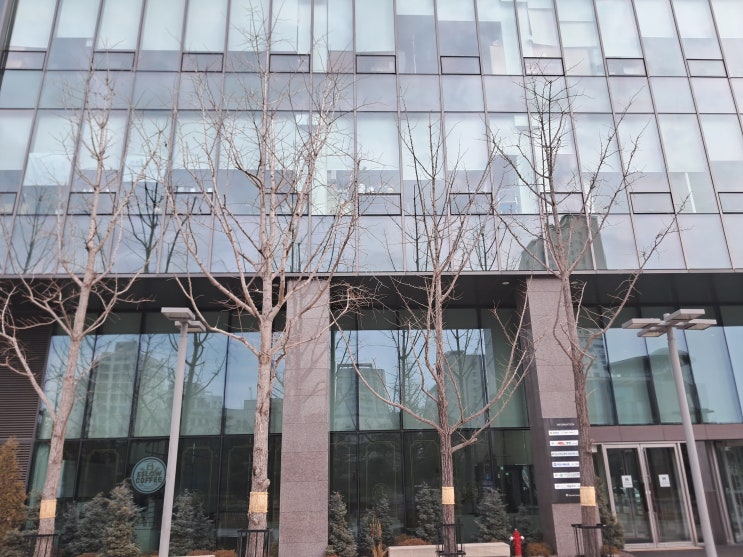  서울 손해사정사 및 손해사정인의 장황하지 않으면서 핵심만 뽑아서 설명하는 상담 자문