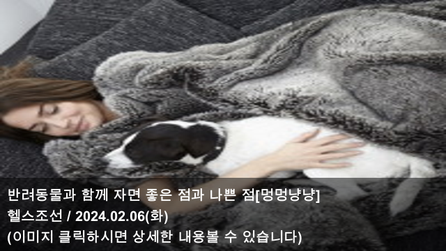 사진 5