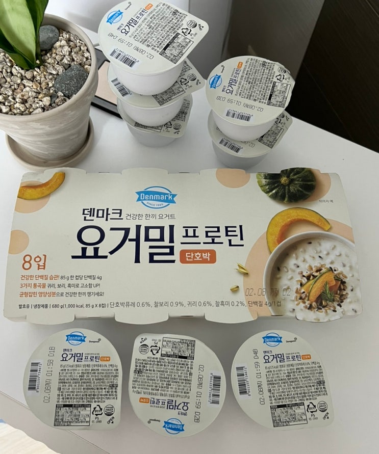 쿠팡 다이어트 간식 덴마크 요거밀 프로틴 단호박