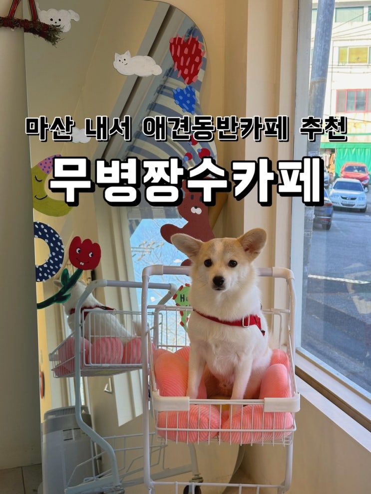  [경남 창원] 내서에서 가기좋은 애견동반카페 추천 무병짱수카페