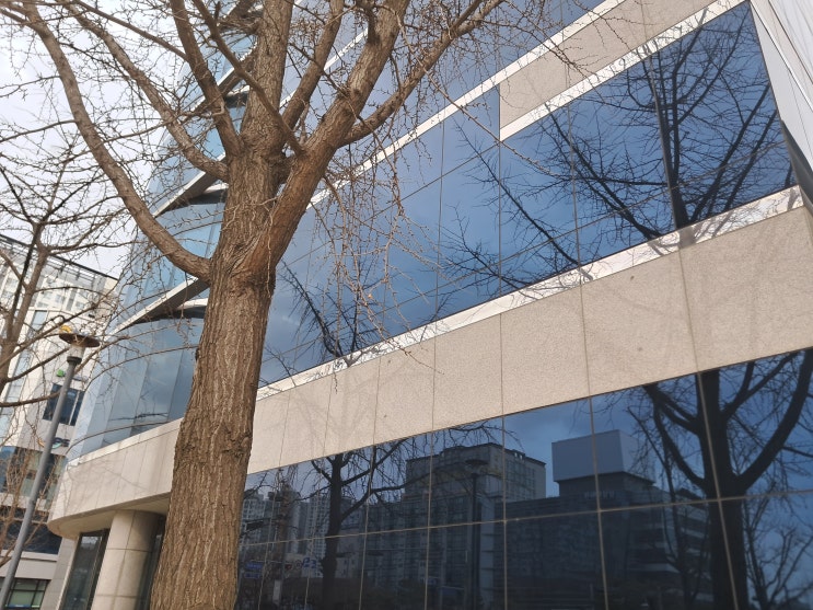  양평 손해사정사 및 손해사정인의 명확하면서 진중한 상담