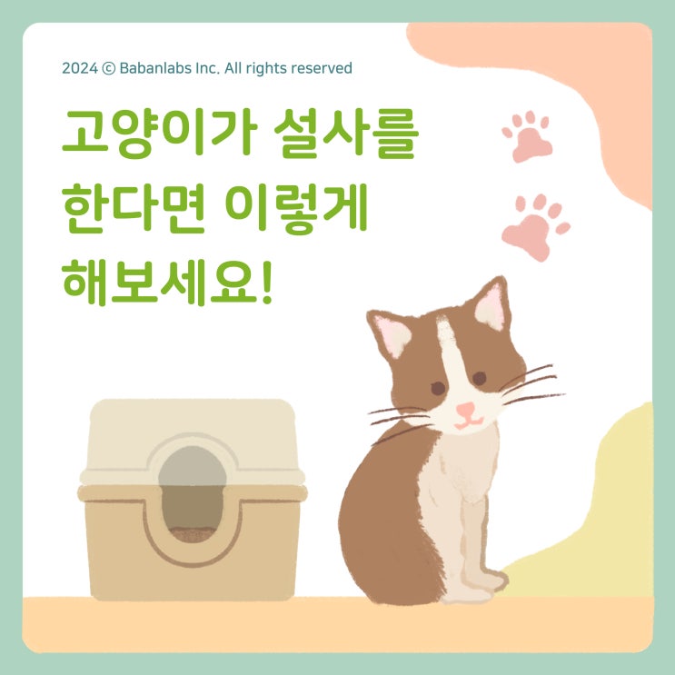  고양이설사, 반려묘가 평소랑 다른 변을 본다면 고덕 동물병원