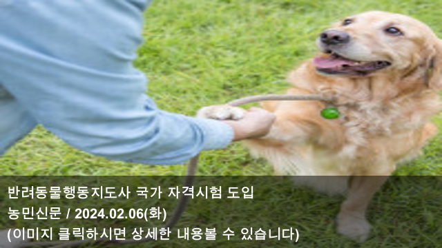 사진 6