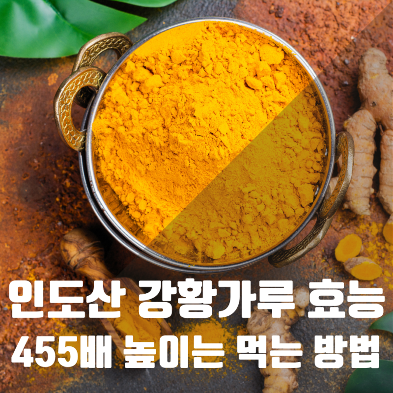 인도산 강황가루효능 455배 높여 먹는방법
