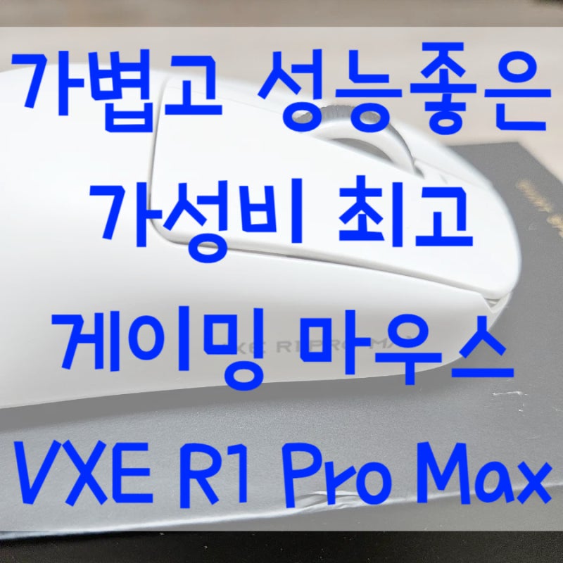 [내돈내산리뷰] 초경량 가성비 VXE R1 Pro Max 리뷰. 유일한 단점은... : 네이버 블로그