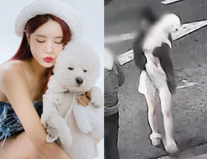 "강남 벤츠녀?" DJ 예송, 음주 운전 의혹 속 묵묵부답...딱 걸린 인스타 강아지 증거 사진 "강남 벤츠녀?" DJ 예송, 음주 운전 의혹 속 묵묵부답...딱 걸린 인스타 강아지 증거 사진