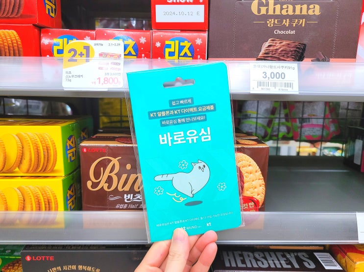  천안선불폰 미납 정지폰 개통 방법