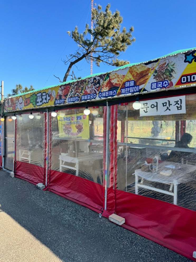  포항 호미곶 애견동반 식당 맛집 해물라면이 맛있는 유채꽃밭 뷰 남구 포장마차