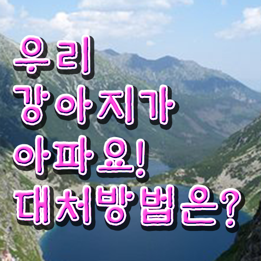  강아지열날때 대처법 강력추천 ~