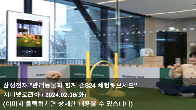 사진 4