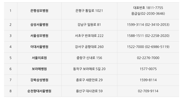  2024 서울시 설 연휴 운영 병원 안내