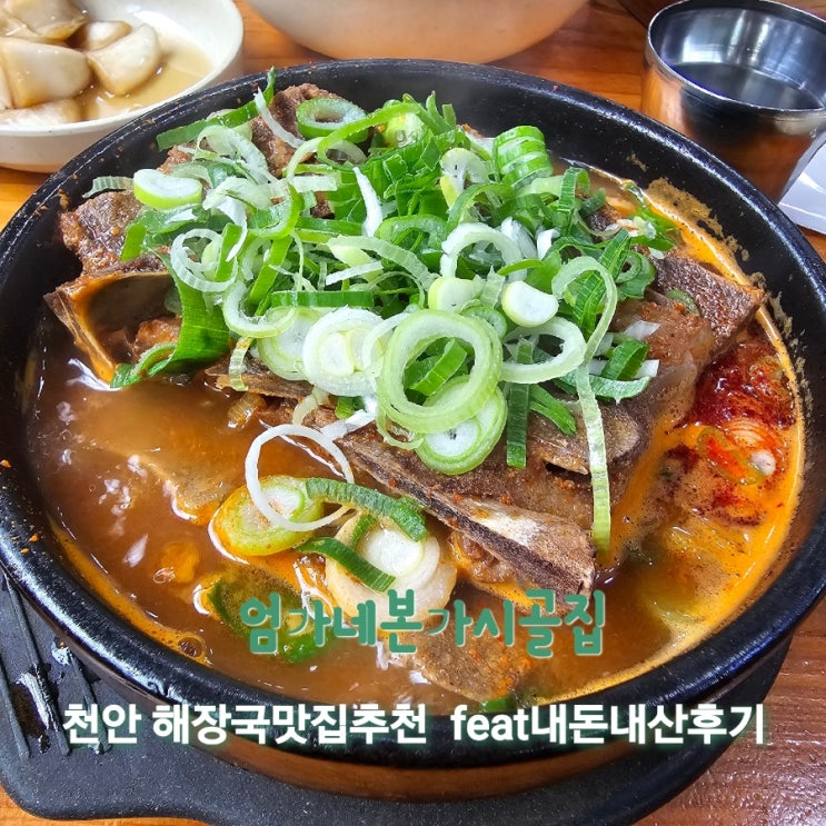  엄가네본가시골집  [천안 성정동 해장국맛집추천 feat내돈내산후기]