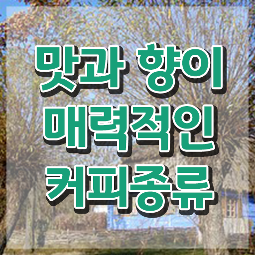  커피 종류 정리해봤어요 !
