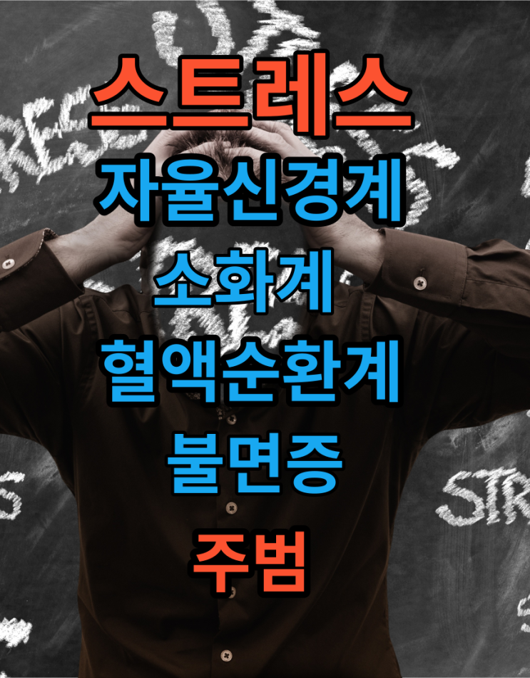  스트레스해소,자율신경계,불면증,우울증,치매등 정신건강관리해야 하는이유와 방법