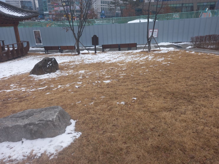 강원도 원주시 두물수변공원과 장미공원 사진입니다.