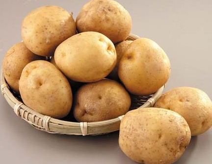  감자의 효능 알고 먹으면 더 맛있다 !