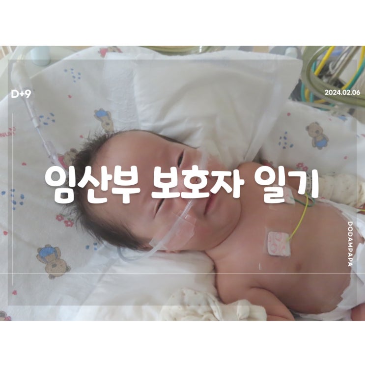 2024.02.06 임산부 보호자 일기 D+9일 2024.02.06 임산부 보호자 일기 D+9일