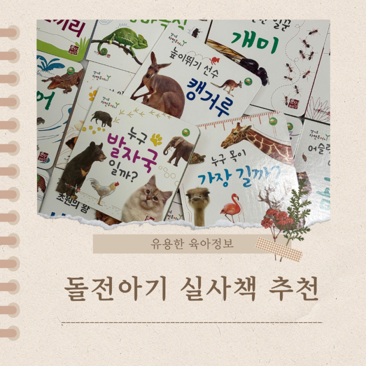  돌 전 아기 실사책으로 캥거루 자연주머니 추천해요