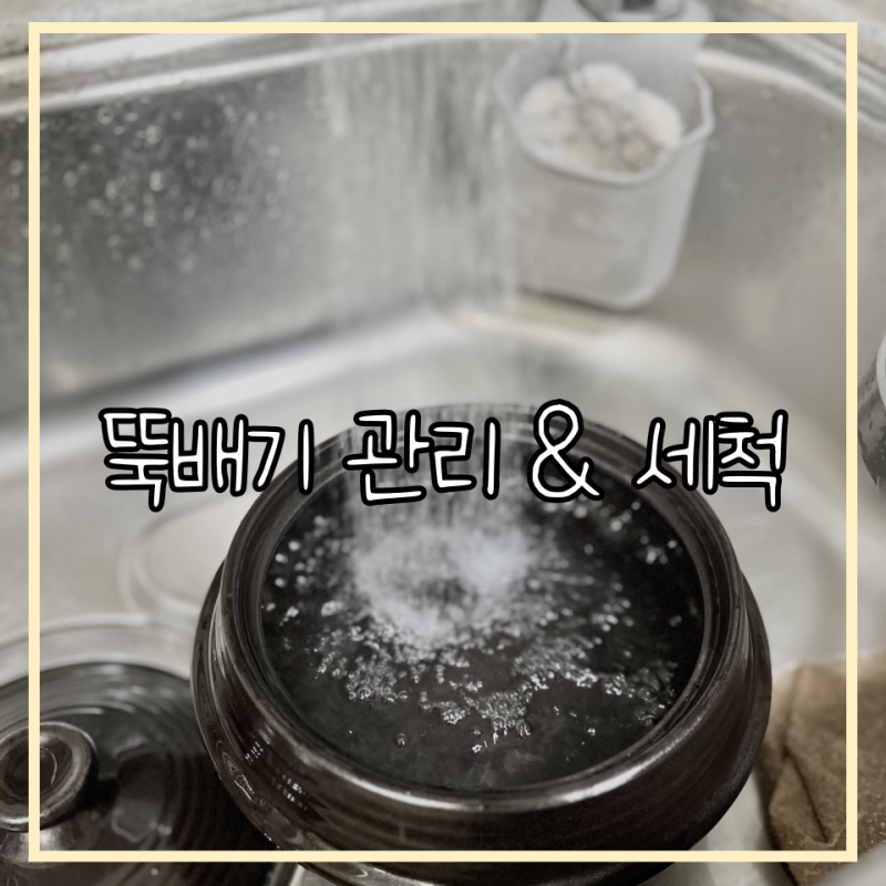 뚝배기 세척 관리 방법/ 뚝배기 길들이는 법/ 뚝배기 세제
