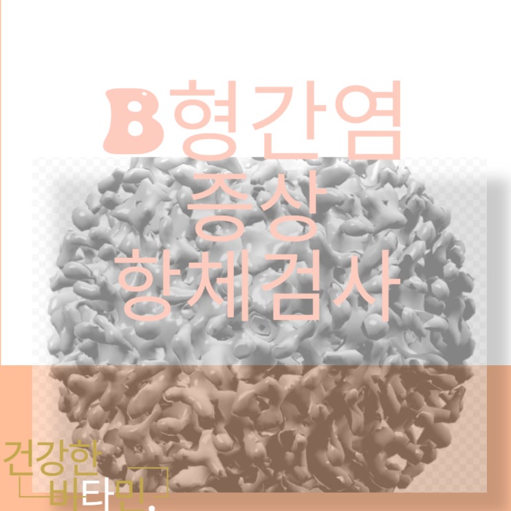  B형간염 3차 예방접종 항체 검사 전염 및 증상 건강을 위한 예방법 알아보기