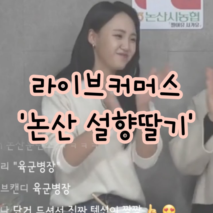  라이브 커머스방송 '논산 설향 딸기'